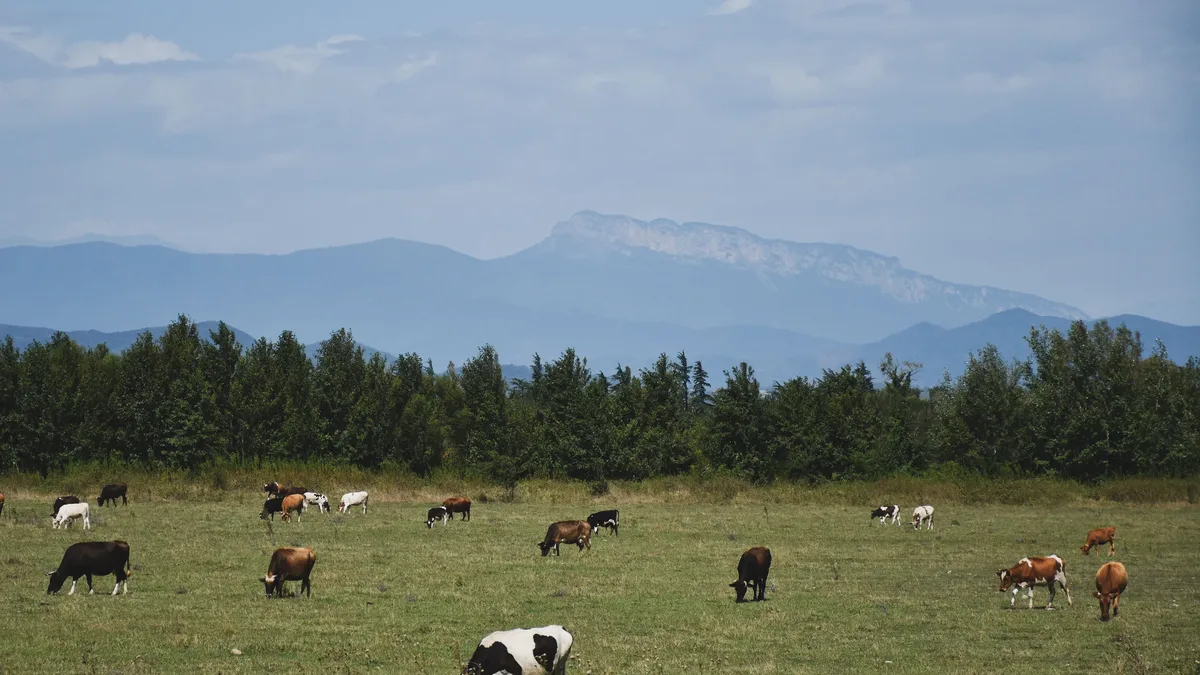 Plantd has launched a biochar product line, converting $13,000 monthly in biomass waste from its grass-based panel...