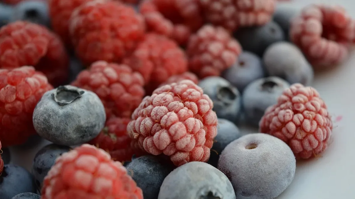 The Vegan Society has introduced a new design for its Vegan Trademark, which is set to take effect as the EU's Empowering...