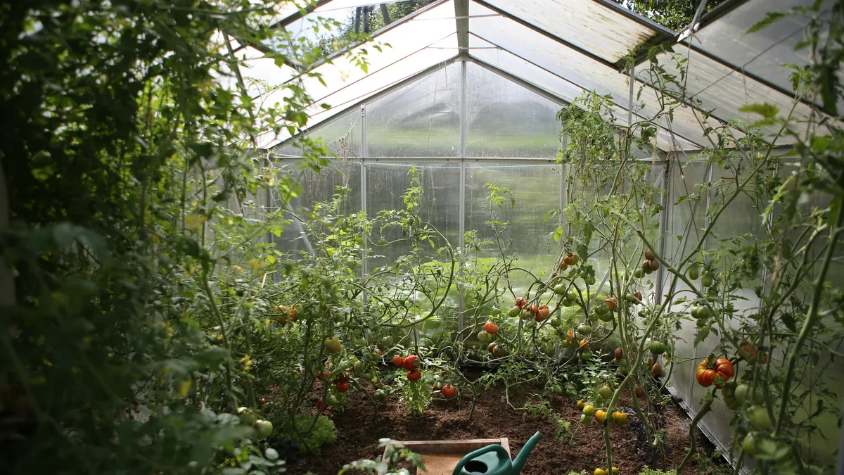 Wageningen University & Research has opened CIBIA, a timber-built AI-powered facility, to accelerate sustainable food...