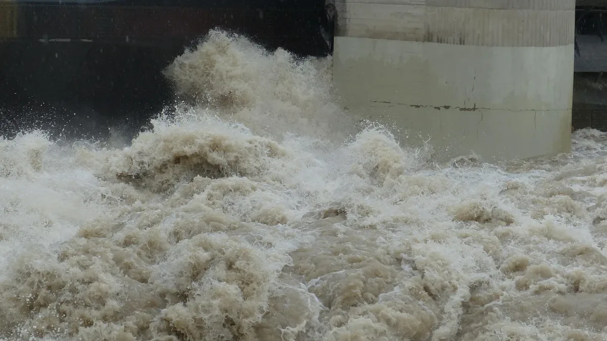 A new Chinese study finds debris flows in last week's cross-border floods reached speeds of 19 metres per second, making...