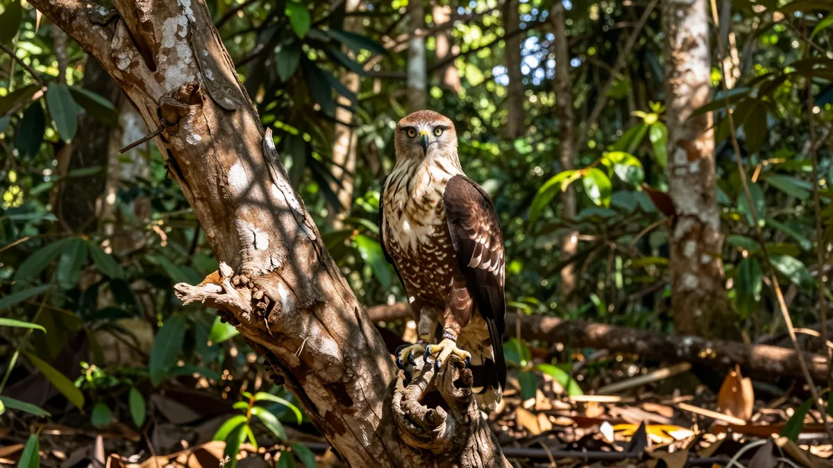 Sacred Hills in Colombia's Amazonia: A Journey of Discovery and Conservation