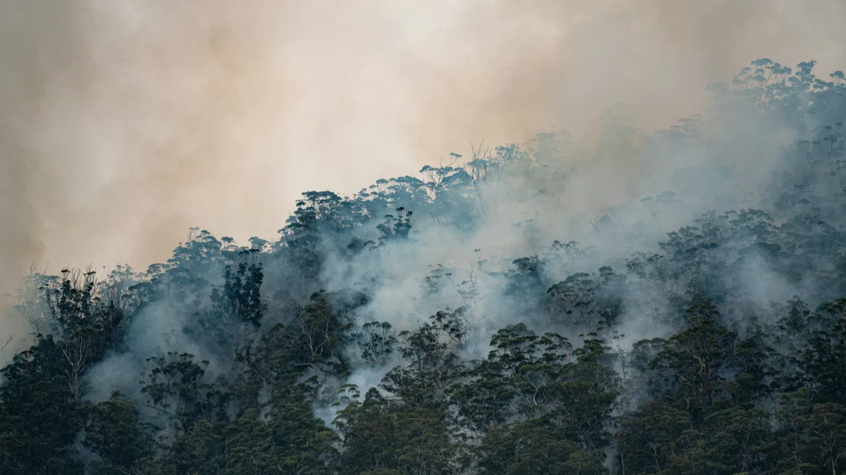 A study in Ecuador's Amazon finds forests in Indigenous territories without formal conservation contracts are maintained...