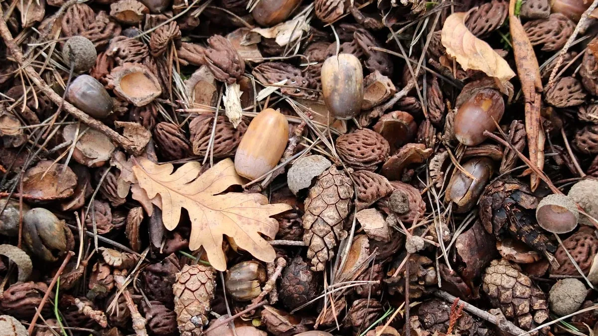 A study in Nature Sustainability found that returning 217,000 hectares to Mapuche communities in Chile increased...