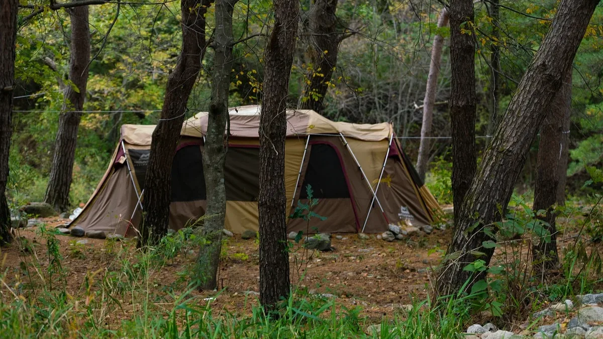 Wray Valley Camping in Devon offers a unique opportunity to experience one of Britain's last remaining temperate...