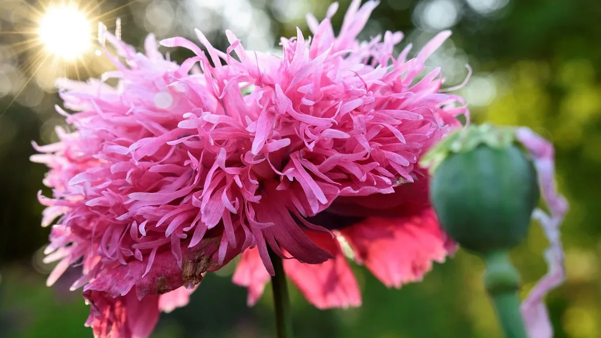 A smell historian argues children need to be taught to use their noses to improve wellbeing and understand their...