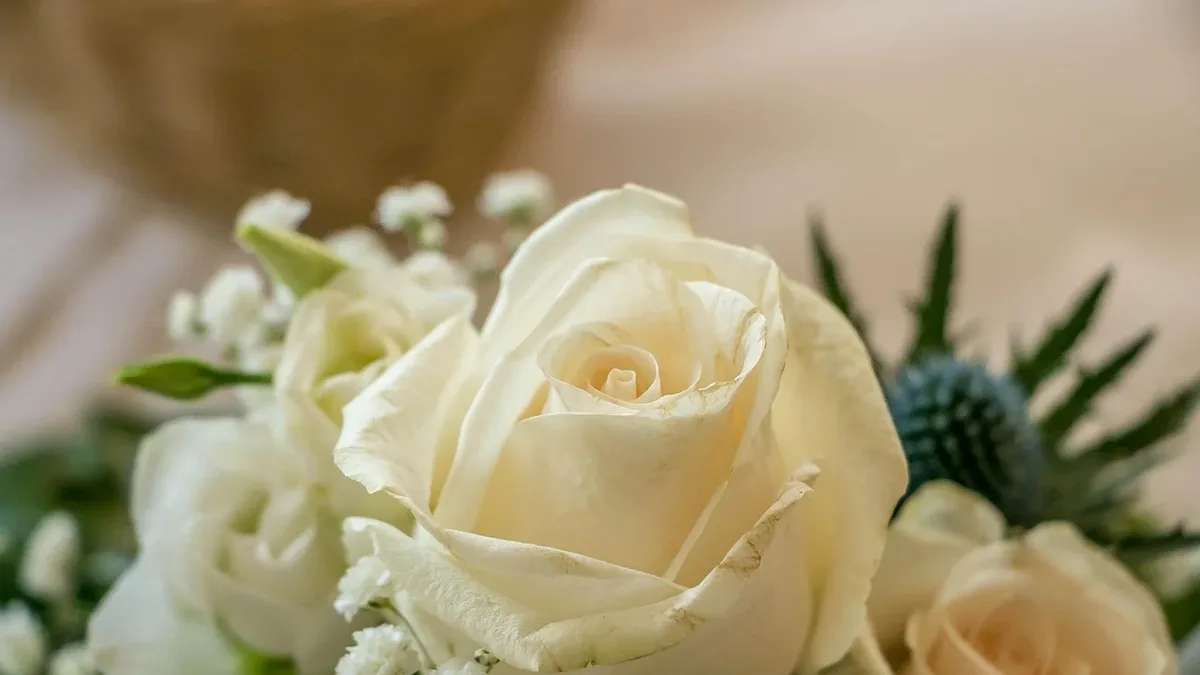 Money: A couple's summer wedding at The Station House Hotel in Meath, Ireland, was made even more magical by the rain