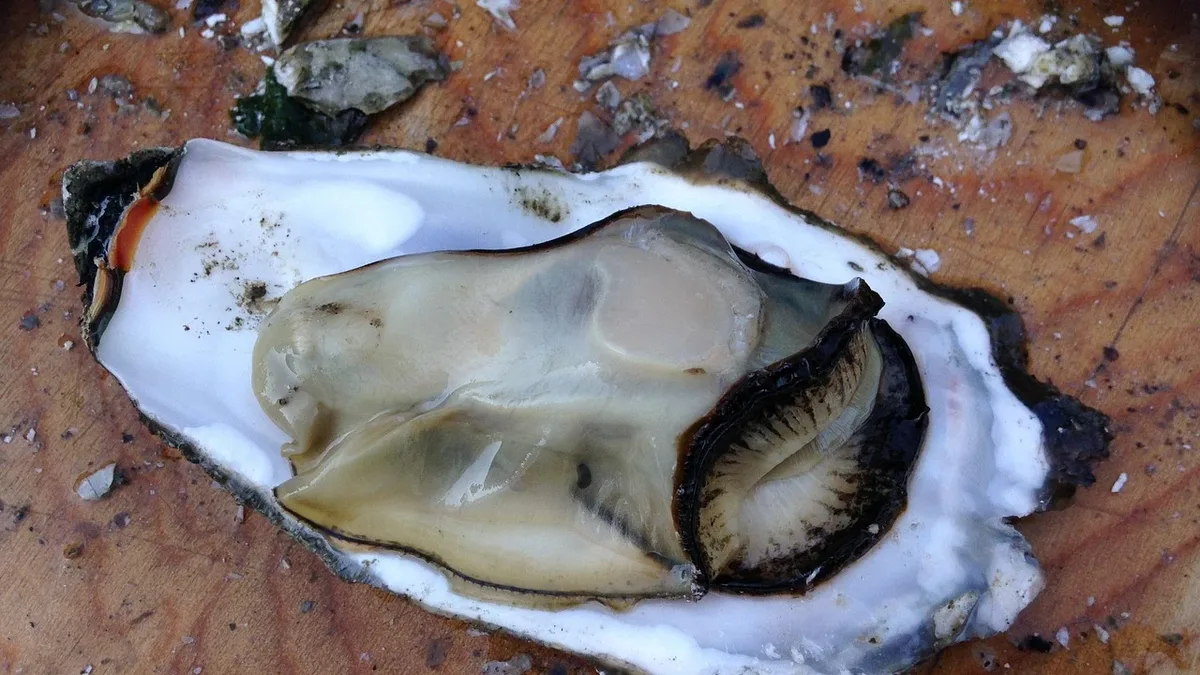 A rise in Vibrio vulnificus infections linked to warmer Gulf waters is prompting food safety experts to reaffirm...