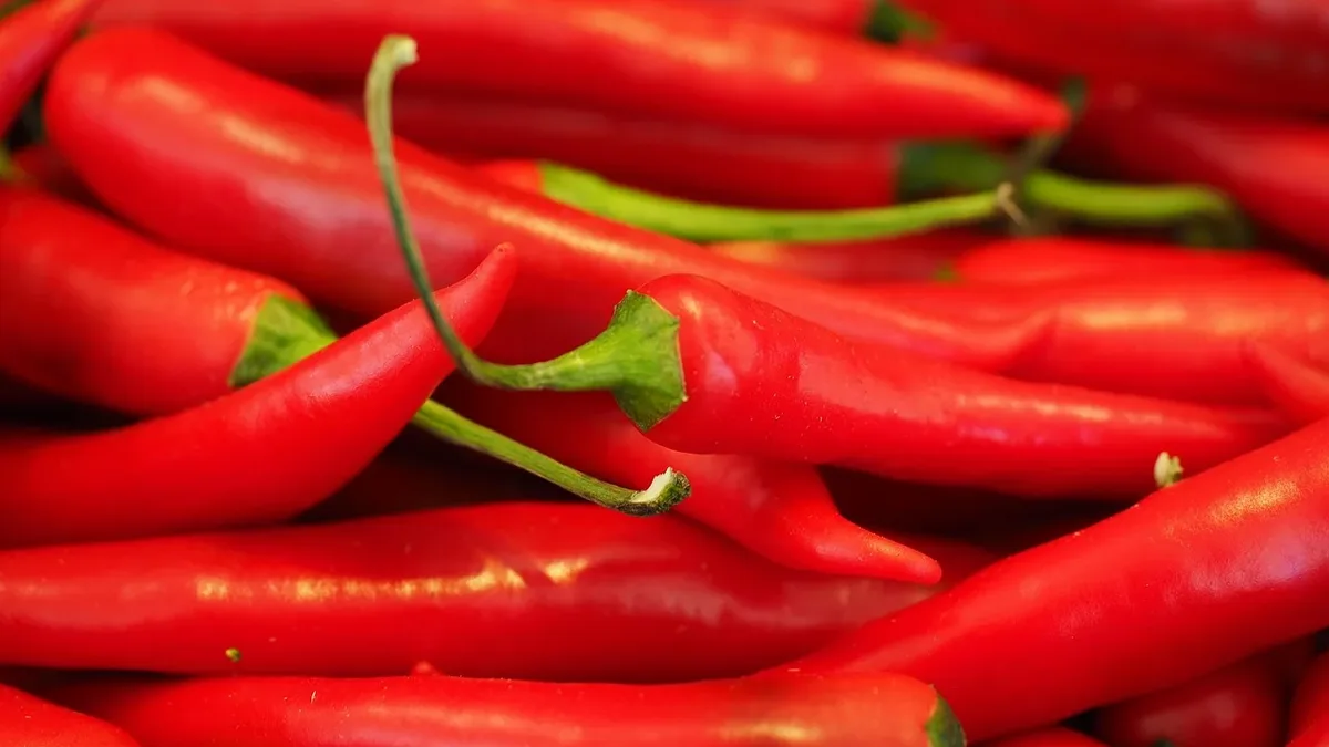 A recipe for quick-pickled fresh chili peppers, a savory Chinese side dish with a crispy texture, perfect for summer meals
