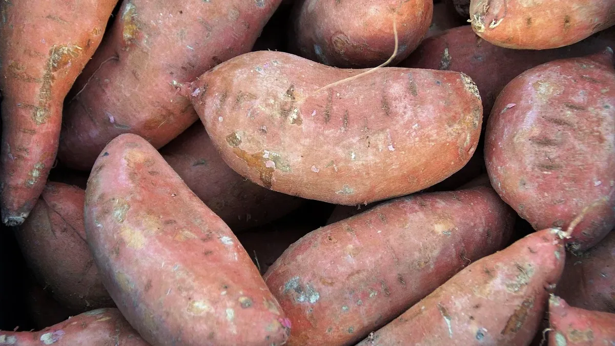 A culinary guide clarifies the difference between yams and sweet potatoes, tracing the historical naming confusion and...
