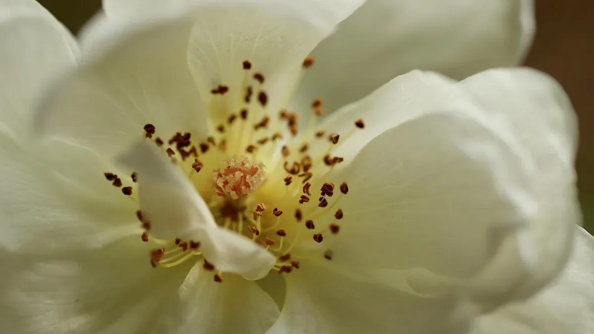 The beauty industry is seeing a rise in fragrance layering, with customers creating unique blends by mixing fragrances...