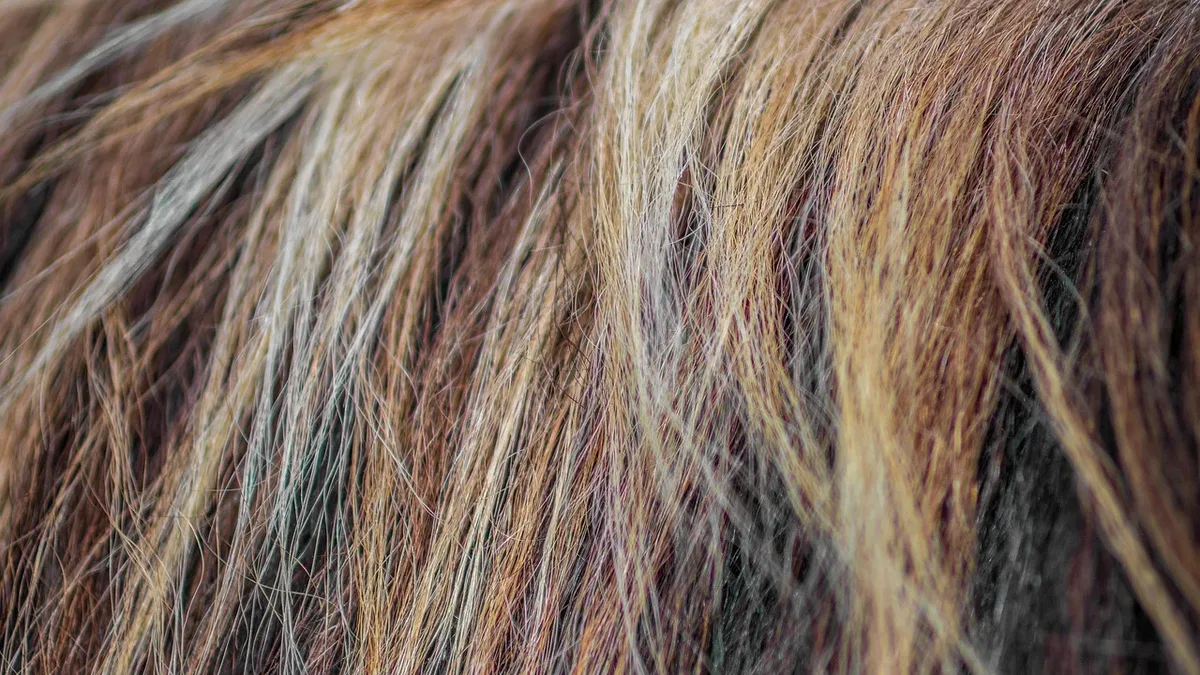 A 2026 report critiques the online trend of linking hair health to moral character, highlighting creators and experts who...