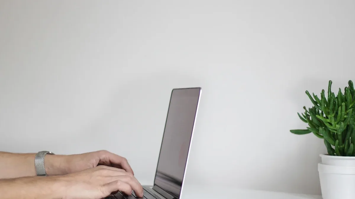 Seasons: Hands, laptop, working, businessman, computer, connection.