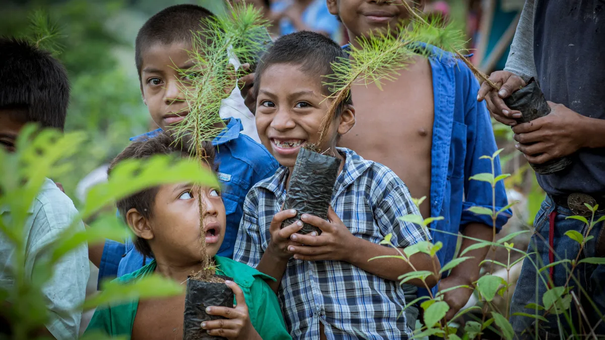 Children in Arborek, Raja Ampat, are learning about their environment through a children's book as nickel mining...