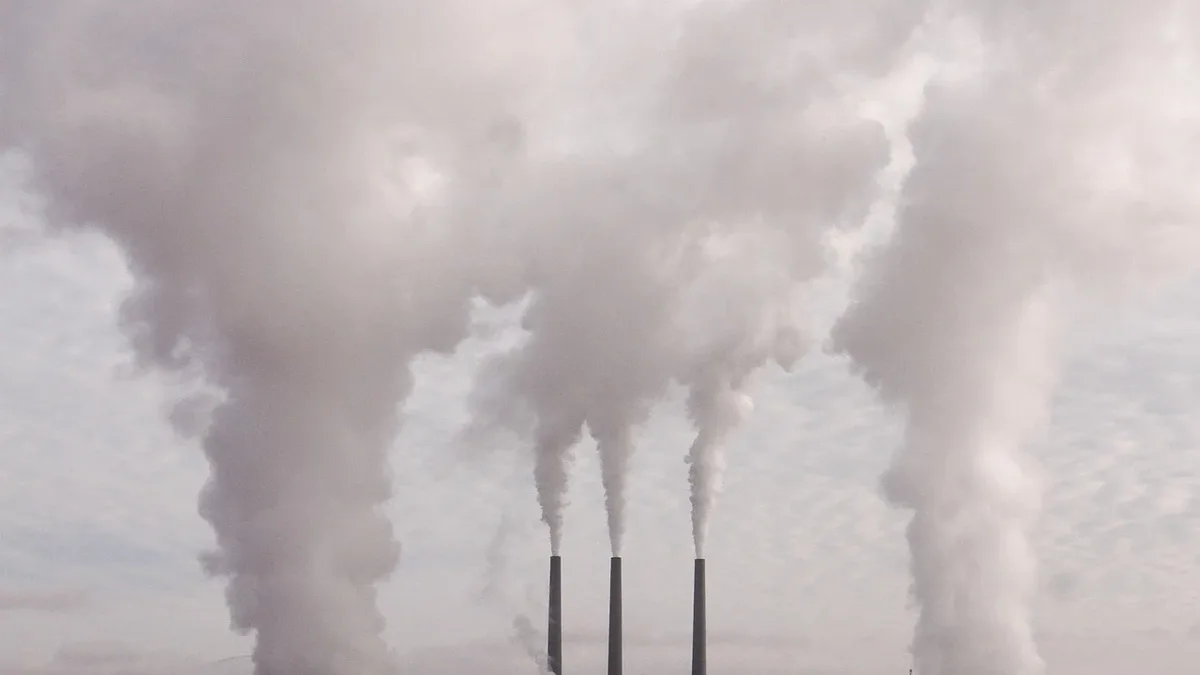 Chinese firms invest billions in Indonesia's petrochemical sector as Beijing tightens domestic emissions rules
