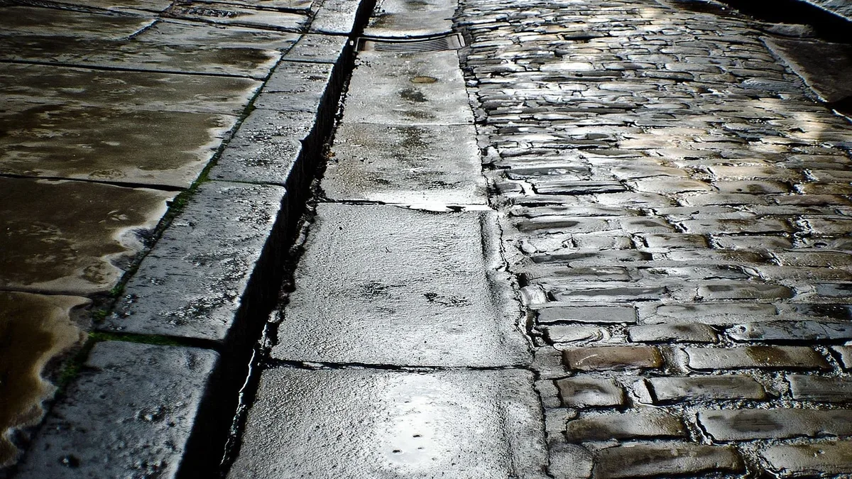 Delhi authorities have identified eight 'troublesome' drains for the first time, citing encroachments, sewage, and waste...