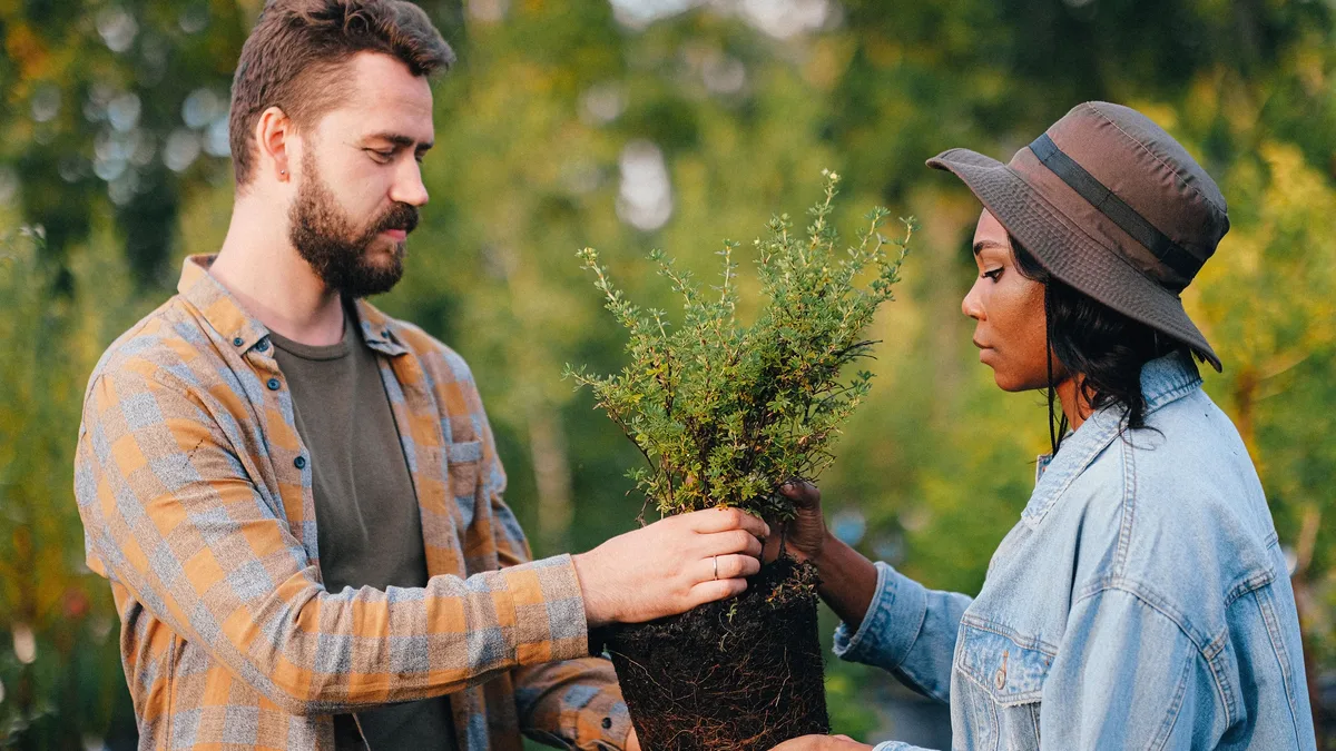 Climate Impact X and Carbonplace announced a merger on August 26, aiming to create a larger carbon credit trading...