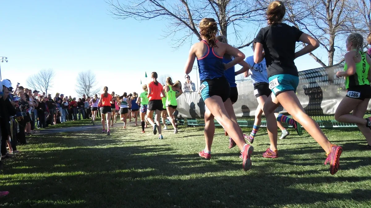 Trail race organizers enforce mandatory gear lists to ensure runner safety in unpredictable conditions, with penalties...