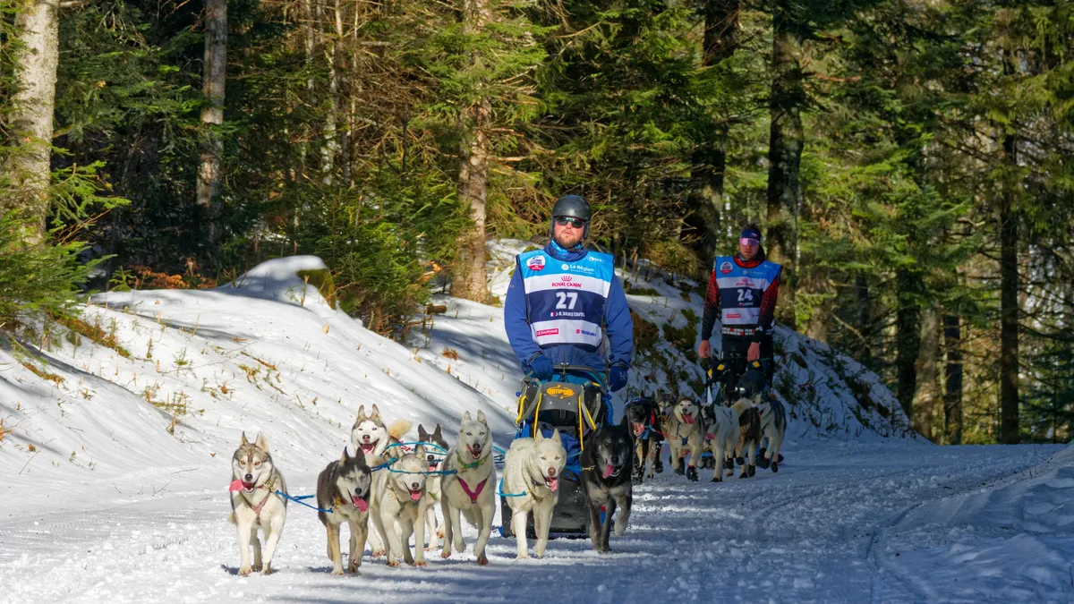 Disciplines: The classic Run for the Toad trail race is returning to Pinehurst Lake on Oct