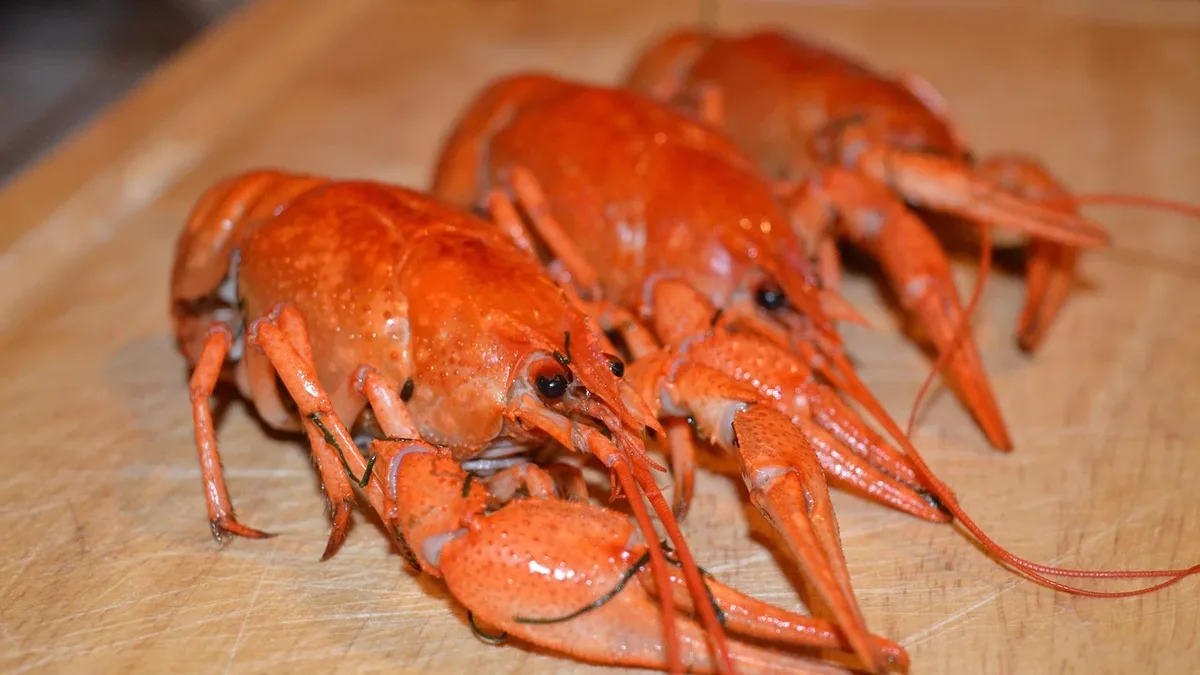 The Business: Chain restaurants serving top-rated lobster rolls, according to customers