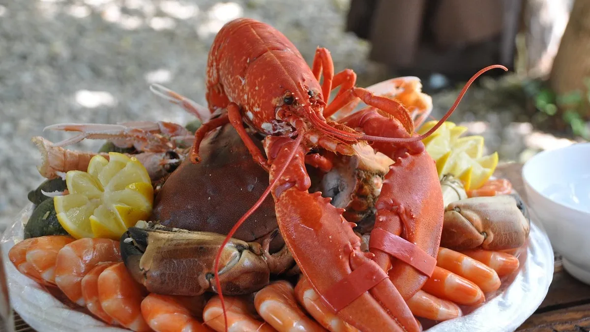 Customer reviews highlight nine national seafood boil chains for quality, value, and customizable options, from The...