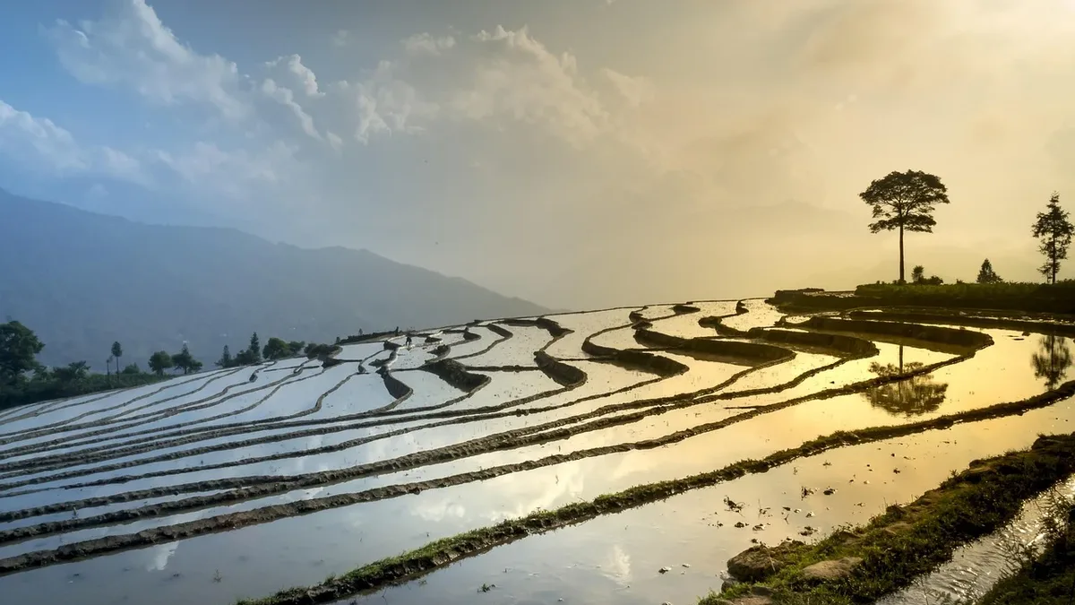 A coalition of carbon credit developers, corporate buyers, and major conservation NGOs is lobbying UN regulators to...