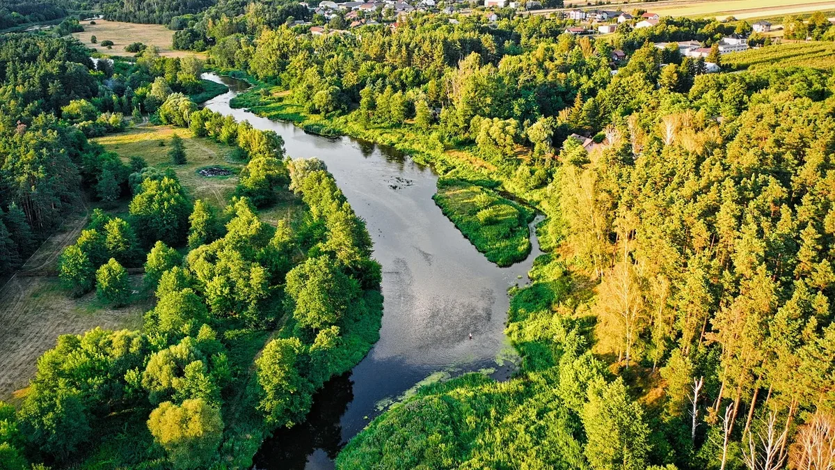 A Cornwall council initiative is tackling agricultural runoff and sewage pollution threatening ancient maerl beds and...