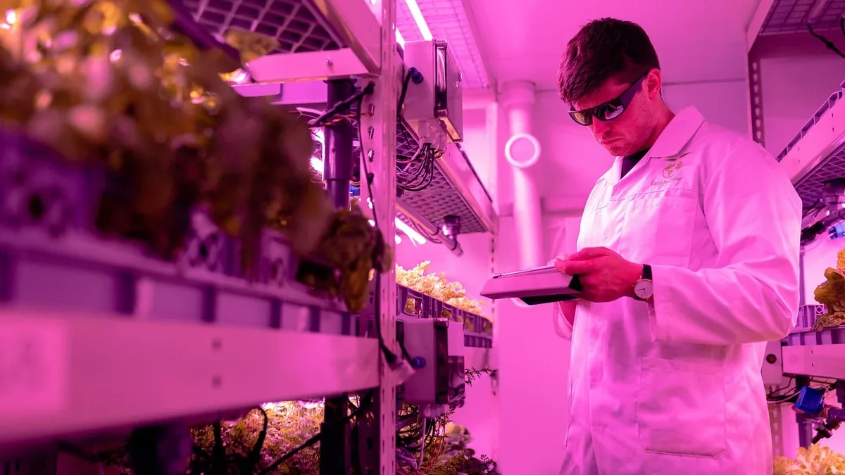 Europe's farmers are facing an unprecedented crisis due to successive intense heatwaves and a severe drought, with vegetable...