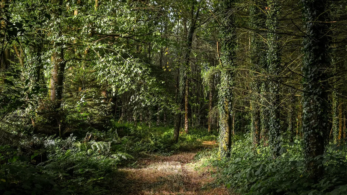 A study in The Lancet Public Health reveals that older adults face health risks from heat exposure at lower temperatures...