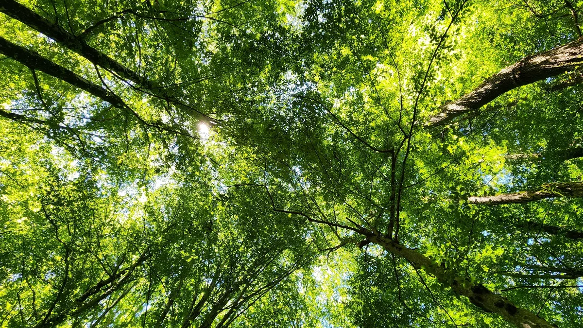 A new study finds extreme heat events are spreading into shoulder seasons globally, with over half of land areas seeing...