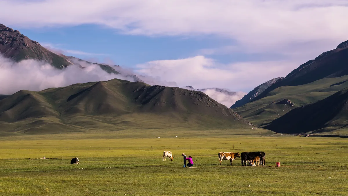 A study in Iceland's subarctic grasslands finds that continued livestock grazing enhances soil carbon storage...