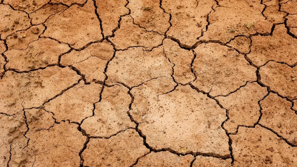 UN Environment Programme Executive Director Inger Andersen highlights the critical role of land restoration in combating...