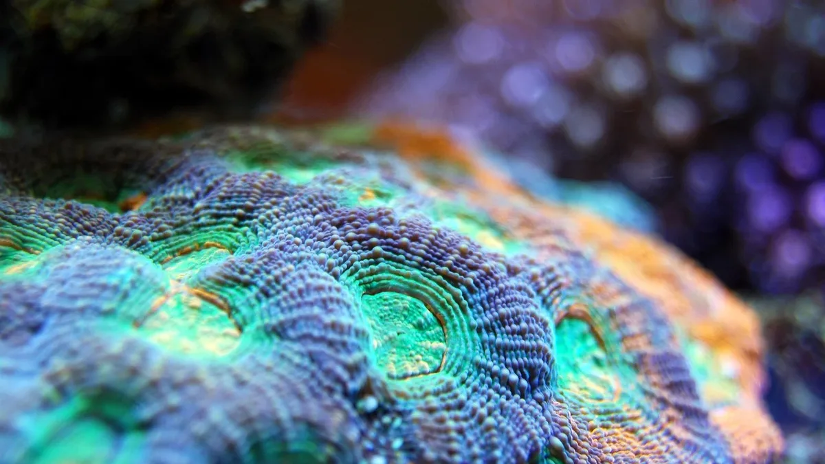 A new documentary, 'North Sea, Nature Untamed', shows the region's overlooked biodiversity and examines the complex...