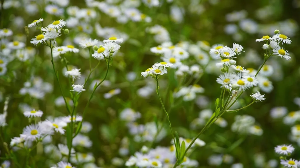A five-year study of UK small businesses shows an overall improvement in sustainability performance, yet significant...