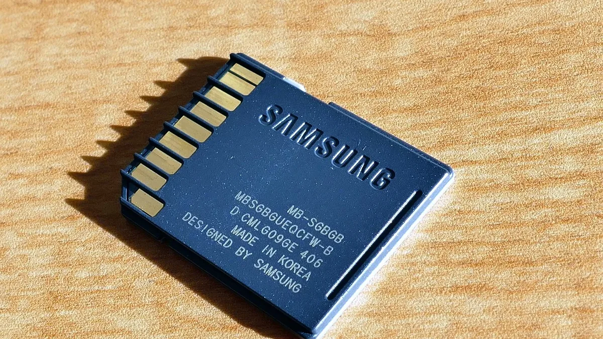 Award-winning wildlife photographer Amish Chhagan details his reliance on Novachips CFexpress 4.0 Type B memory cards...