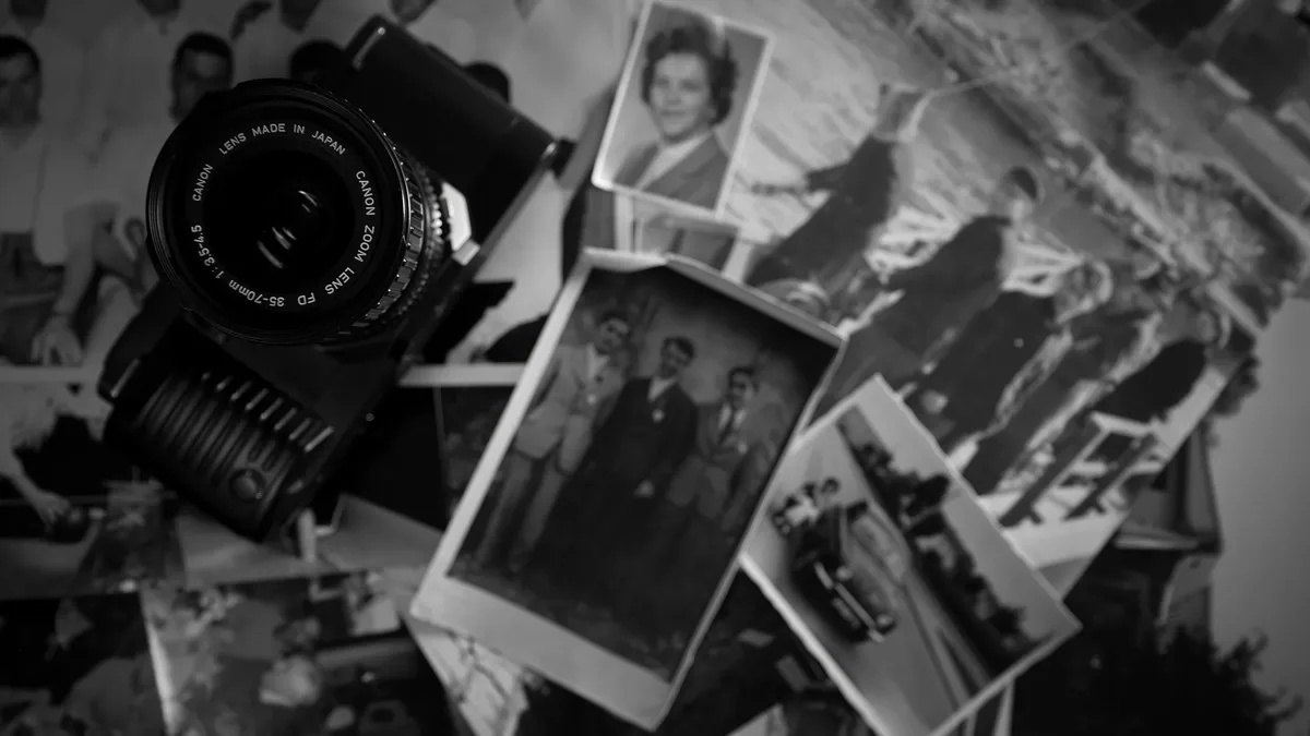 Harvard Art Museums presents 'The Way We Never Were,' an exhibition using its American Professional Photographers...