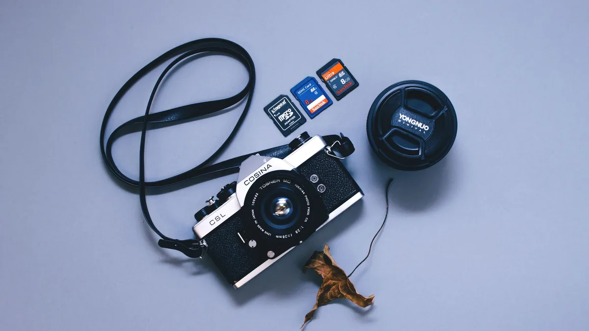 Award-winning wildlife photographer Amish Chhagan used Novachips Express CFexpress 4.0 Type B cards during a recent...