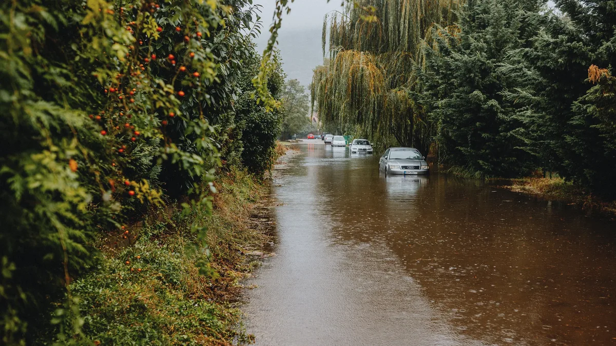 Severe flooding in Thailand's eastern industrial belt has forced Toyota and Honda to suspend vehicle assembly operations