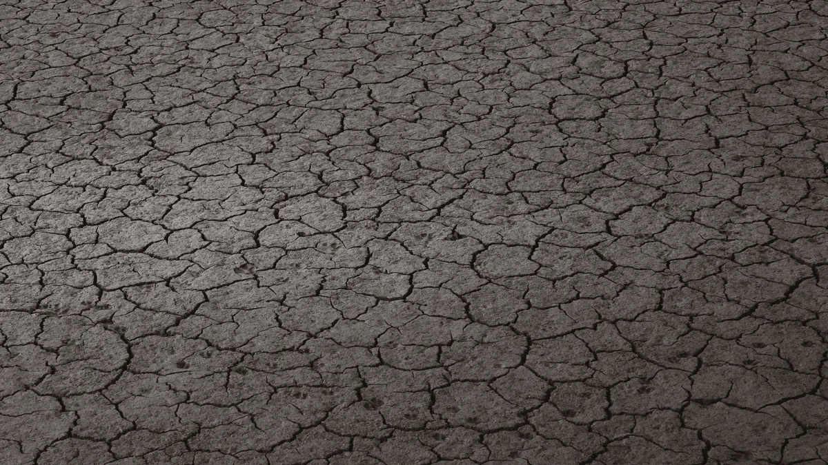 Mysterious trenches scoring Australia's Nullarbor Plain are surface scars from the collapse of massive Oligocene and...