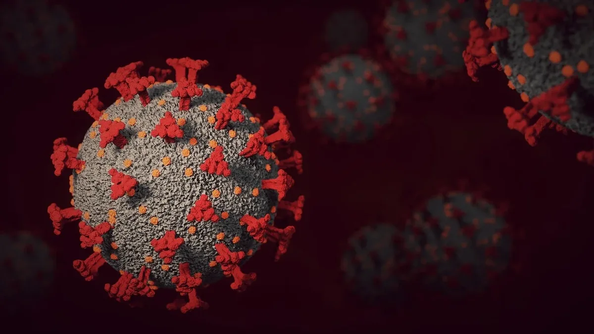 A large study shows that severe COVID-19 can wake dormant viruses such as EBV, CMV, HSV and anelloviruses, with...