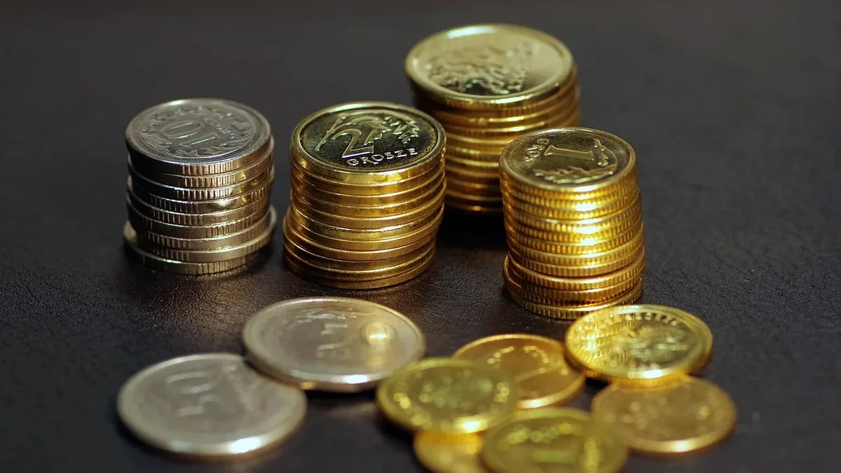 A metal detectorist has discovered Finland's largest Viking Age silver hoard, containing nearly 10 pounds of coins and...