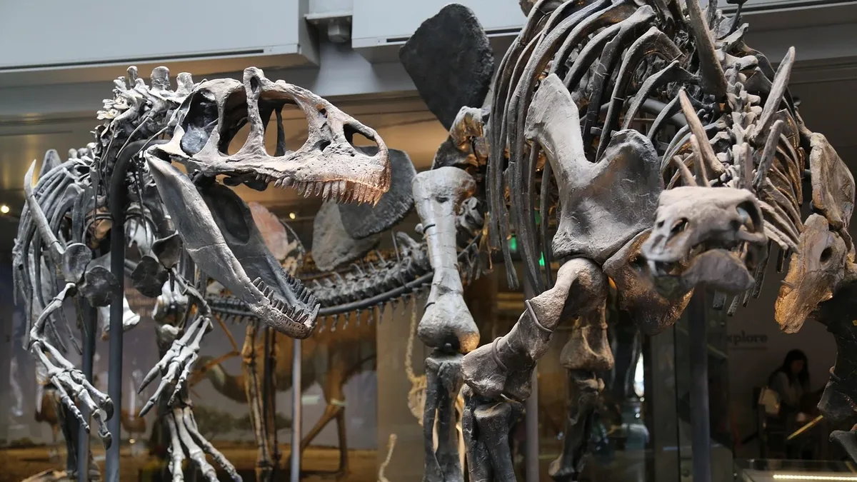 A 150-million-year-old dinosaur fossil from Spain has been identified as the first Diplodocus ever confirmed outside...