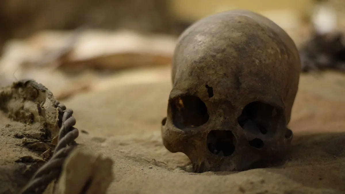 News: A re-analysis of 5,000-year-old skulls from royal tombs at Abydos has found fatal blunt-force trauma in 18 individuals