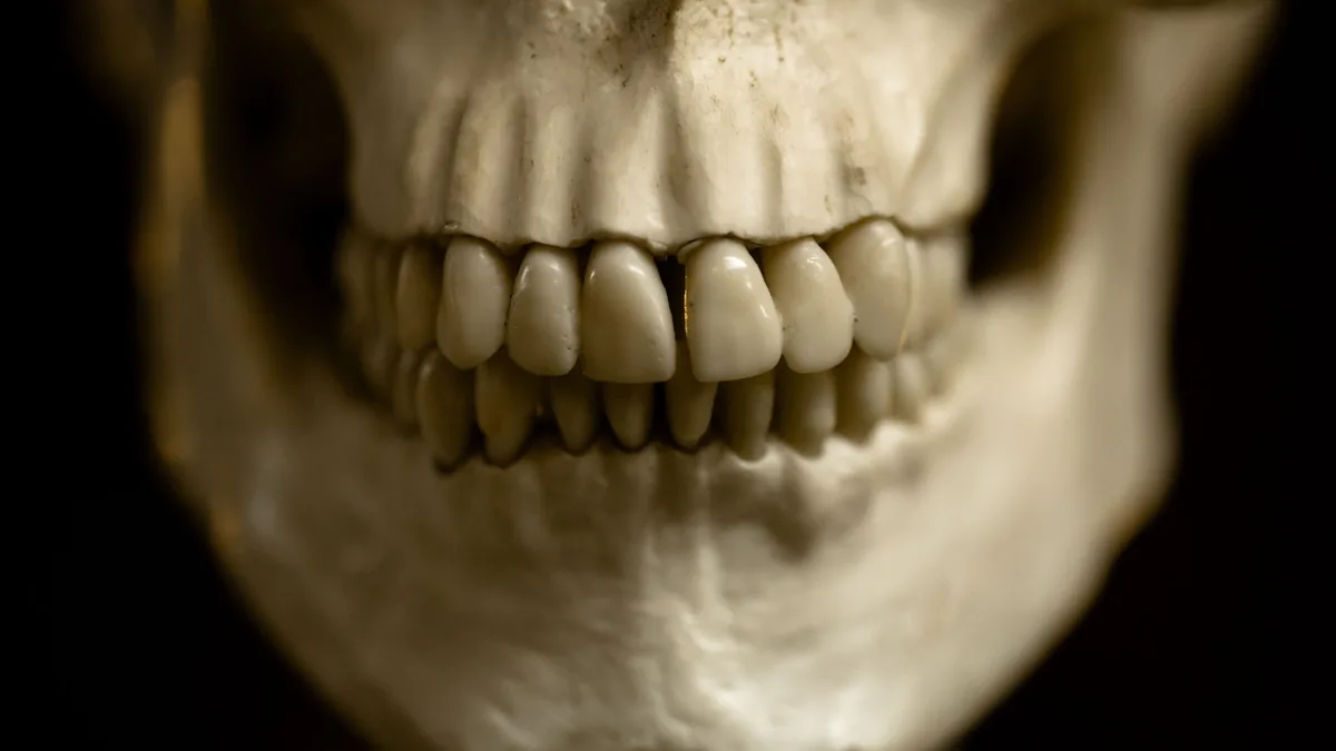 Proteins from 400,000-year-old Homo erectus teeth found in China suggest a genetic link to Denisovans and, indirectly, to...