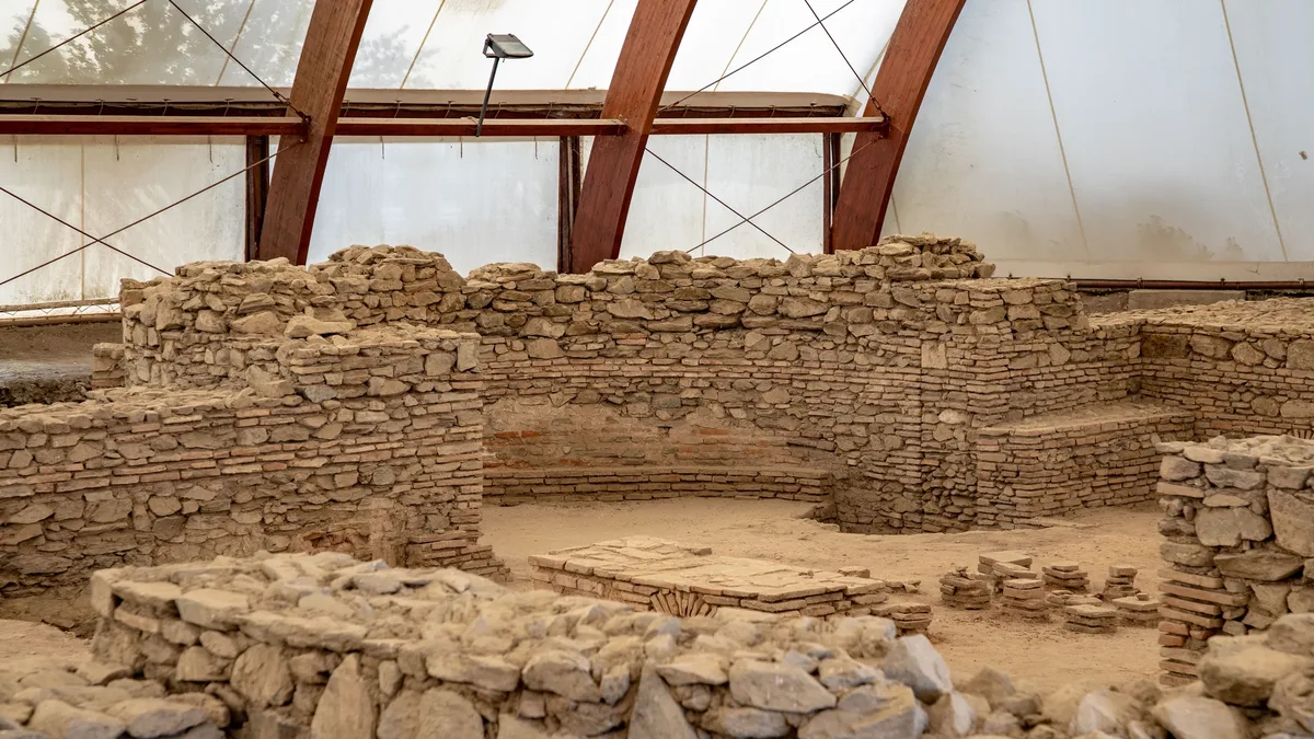 A new book by archaeologist Professor Peter Mitchell explores the history of dog domestication and how humans and dogs have...