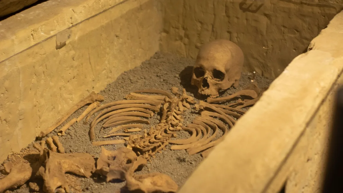A tenth-century wooden burial chamber at Gnezdilovo, western Russia, revealed the remains of a man aged 25 to 35, a...