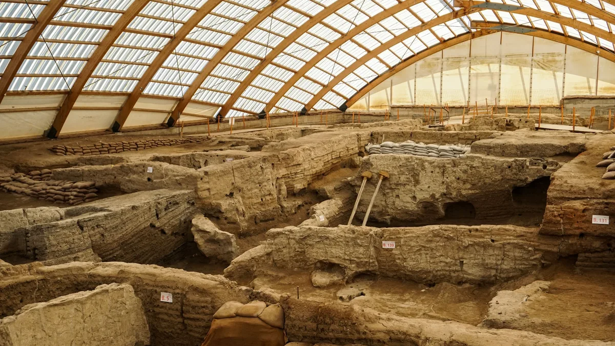 A 240-million-year-old reptile discovered in Brazil is revealing what evolution looked like just before the rise of...