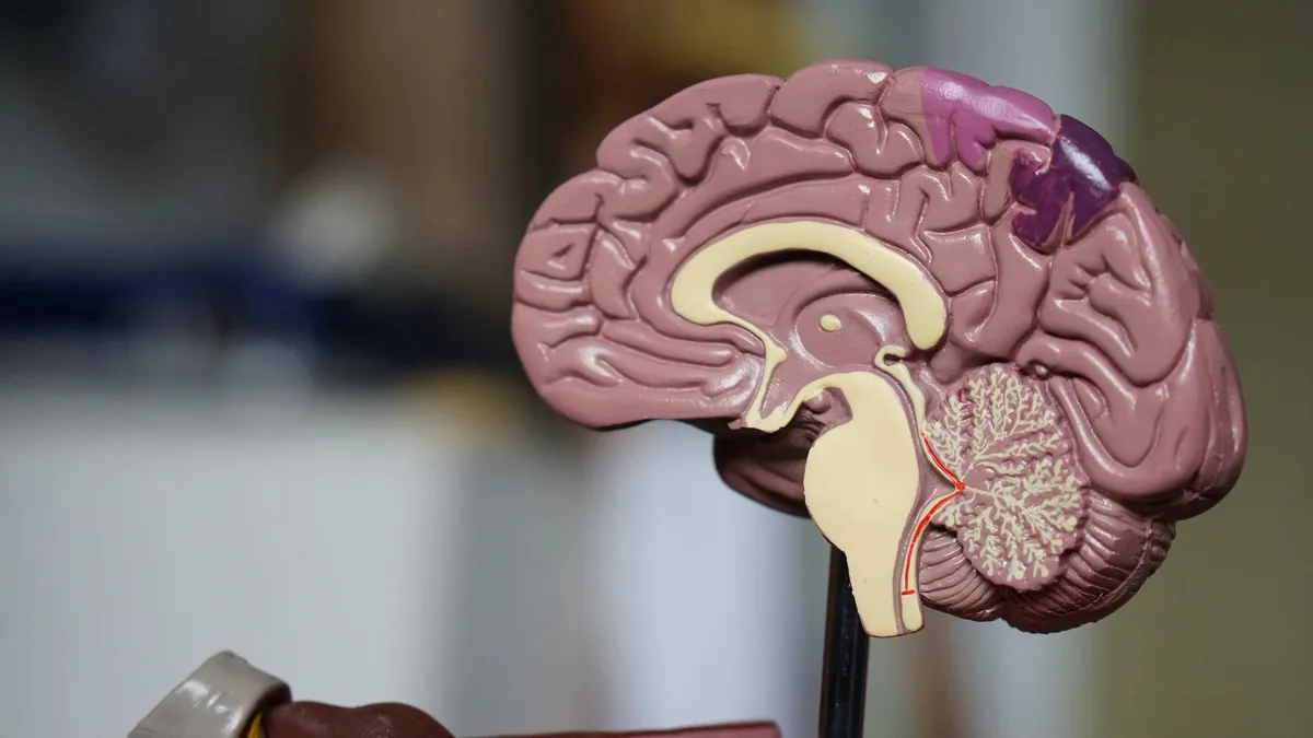 Neuroscientist Steve Ramirez explains his research on memory engrams and the potential for memory manipulation in his...
