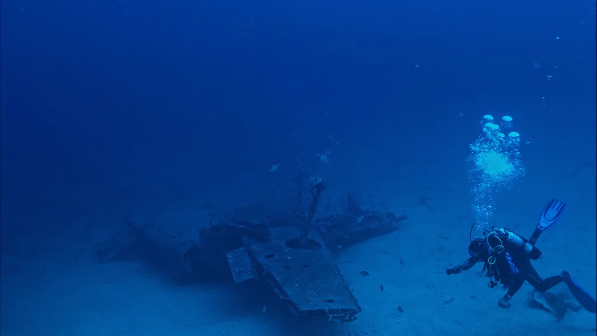 A sunken WWII hospital ship off Albania acts as an artificial reef, attracting invasive devil firefish and providing...