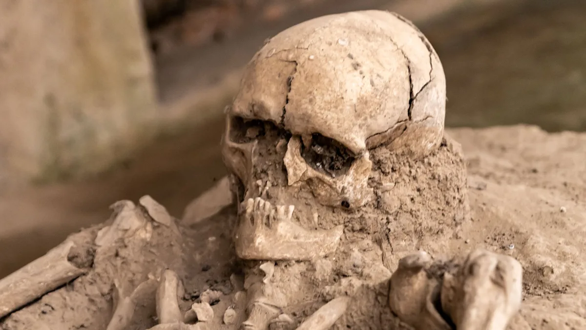 Science: A 700-year-old female skull from China shows the first archaeological evidence of punitive nose amputation
