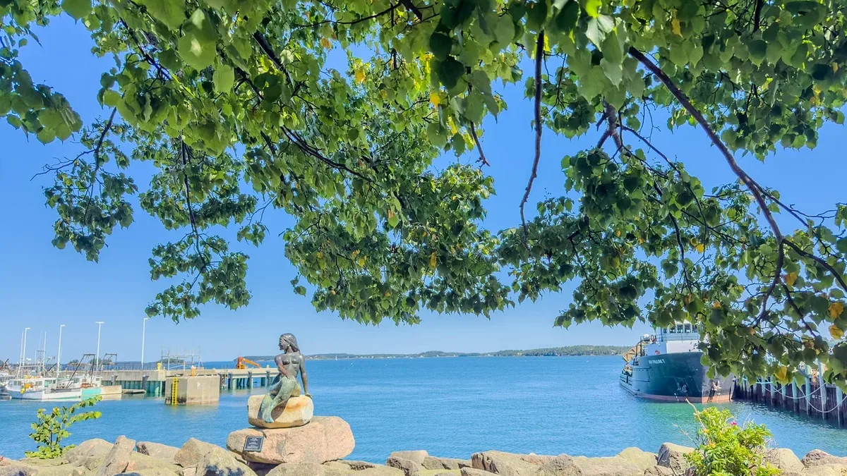 The MSC Foundation has completed another phase of coral restoration in the Bahamas, outplanting 32 nursery-grown fragments...